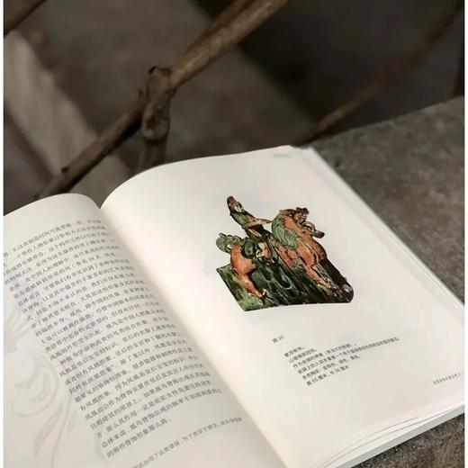 《西洋镜.五脊六兽》，精装，16开 商品图5