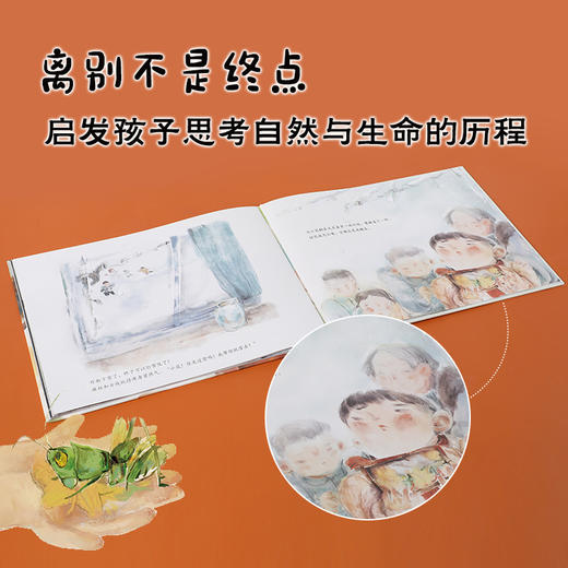 【3-6岁】蝈蝈与南瓜花 汪小伦著 清新动人的生命教育绘本 献给所有经历过离别的孩子 生命和离别的意义 商品图1