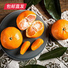 【包邮直发】涌泉高山蜜桔 约10斤/箱（单果约70-80mm） 商品缩略图0