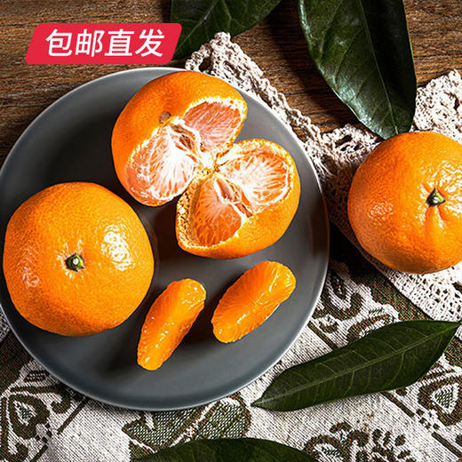 【包邮直发】涌泉高山蜜桔 约10斤/箱（单果约70-80mm） 商品图0