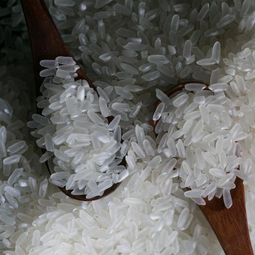 正宗稻花香2号 五常大米（从磨米到收货不超15天） 商品图5