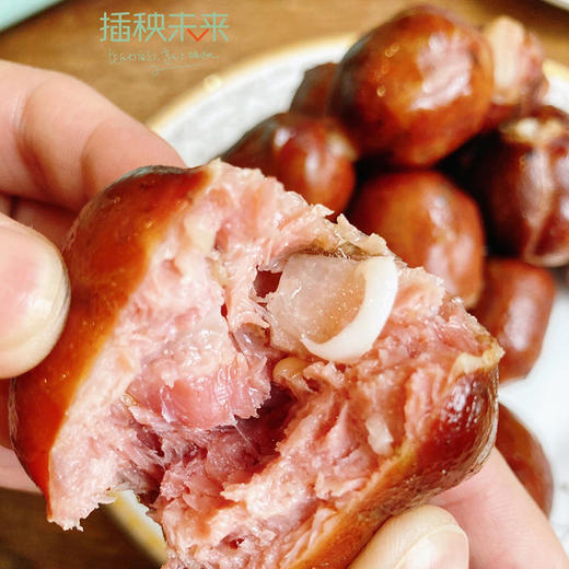 青川里 散养跑山黑猪肉 脆骨/排骨香肠400g*2袋 松柏枝叶熏制 手工灌装 自然晾干 口感鲜嫩脆爽 [福利品] 商品图4