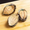 【顺丰包邮】青岛新鲜冷冻自制特产本地鲍鱼（8-9头/500g/袋  *2袋） 商品缩略图1