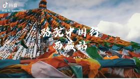 骆驼启程西藏，乘风追梦，释放天生能量