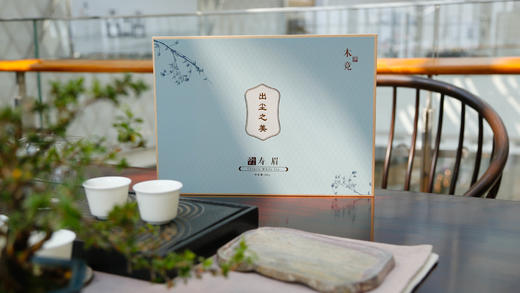 木竟 | 出尘之美 寿眉（2017）300g 商品图0