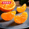 【包邮直发】涌泉高山蜜桔 约10斤/箱（单果约70-80mm） 商品缩略图1