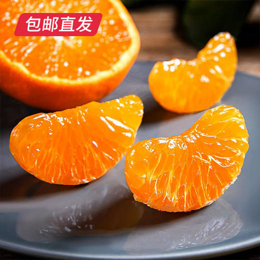 【包邮直发】涌泉高山蜜桔 约10斤/箱（单果约70-80mm） 商品图1