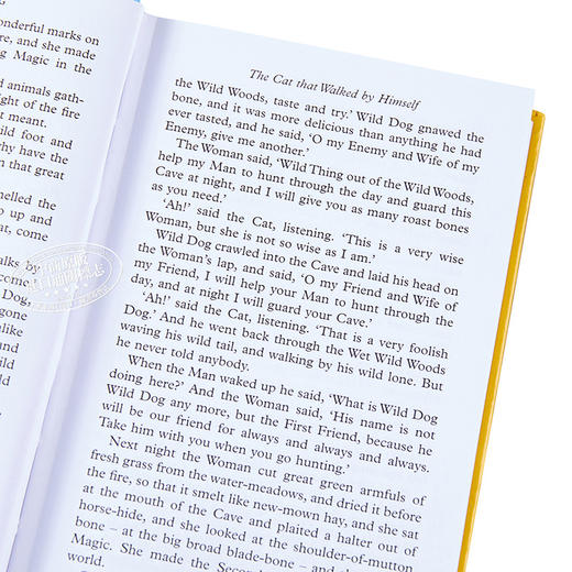 【中商原版】Collectors Library系列：关于猫的经典故事 英文原版 Classic Cat Stories 商品图3