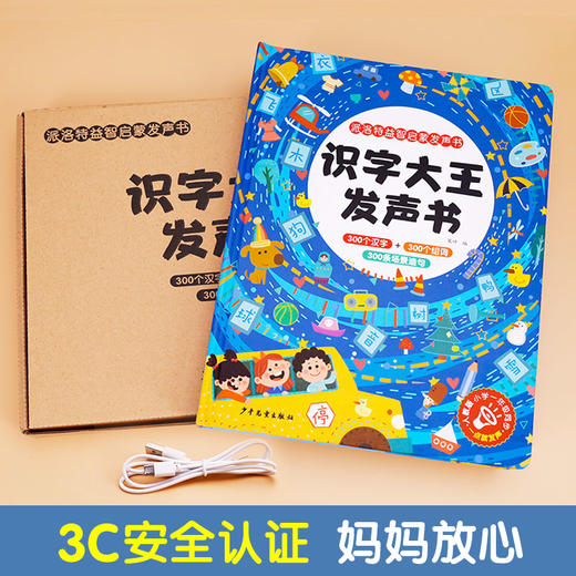 识字大王发声书 幼儿学前看图认字神器儿童启蒙卡片3000字幼儿园小学中班教材用书3-6岁宝宝点读绘本会说话的早教有声书籍象形识字 商品图4