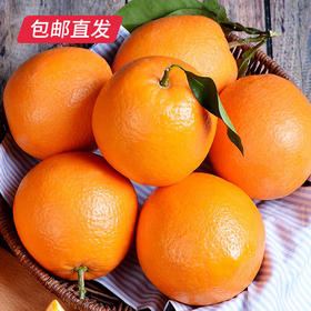 【包邮直发】赣南橙精品装 约10斤/箱（单果约75-85mm）