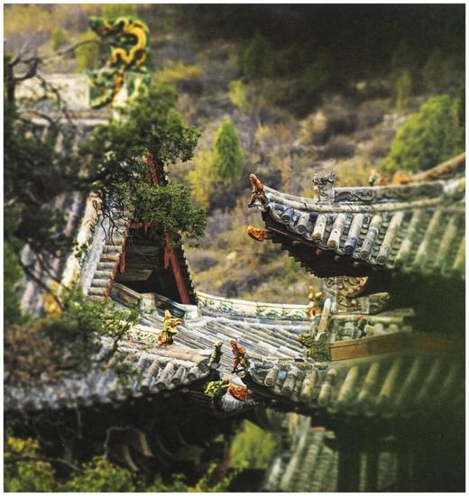 《西洋镜.五脊六兽》，精装，16开 商品图13