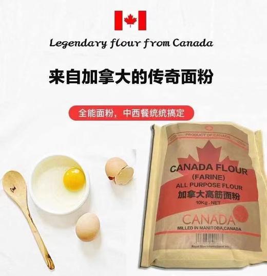 加拿大进口高筋面粉（高级红春麦精制）20斤/40斤包邮（一般贸易） 商品图1
