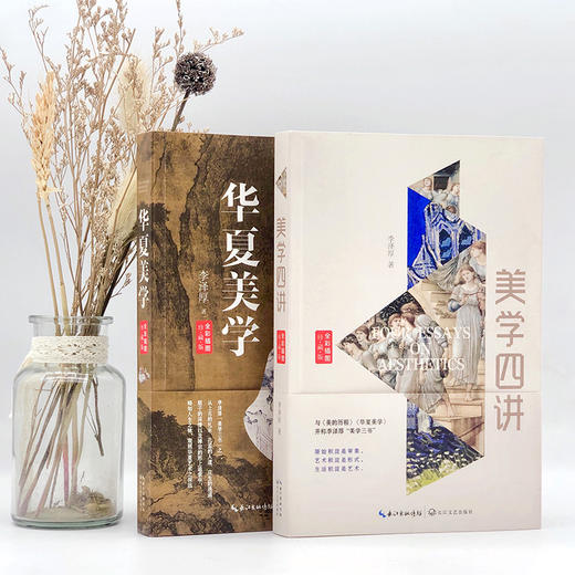 李泽厚经典美学代表作《美学四讲》《华夏美学》 商品图7