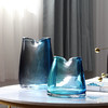 11月新品玻璃花瓶扁口加厚 商品缩略图4