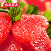 【包邮直发】平和蜜柚 约5斤/箱（2个装） 商品缩略图2