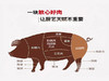 宝宇气调雪猪腿肉 商品缩略图1