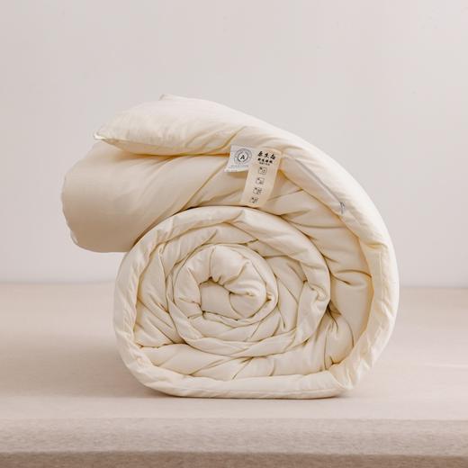 原棉纯棉A类大豆被 商品图2
