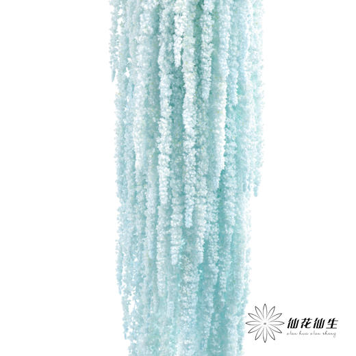 永生花材 ｜ 吊米浅蓝 商品图0