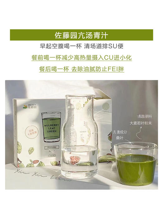 日本Luara MAESOUL佐藤园亢糖青汁大麦若叶粉叶绿素膳食纤维（有送摇摇杯哟～） 商品图2