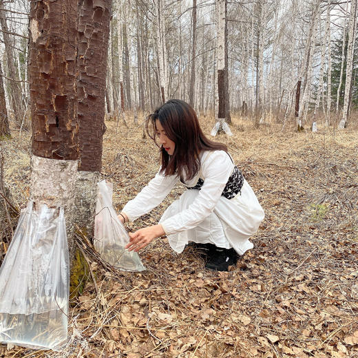 【 25年升级版桦树汁喷雾】天然温和不刺激 小分子滋润爽肤水 保湿镇静 植物玻尿酸 不含矿泉水 0添加 敏感肌、孕妇均可使用 商品图2
