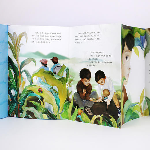 水中国宝中华鲟 商品图9