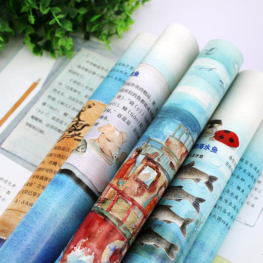 水中国宝中华鲟 商品图7