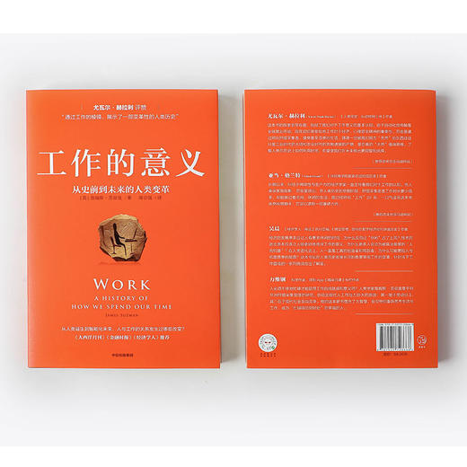 工作的意义 从史前到未来的人类变革詹姆斯苏兹曼著 人类史 工作简史 稀缺经济学 过劳 商品图3