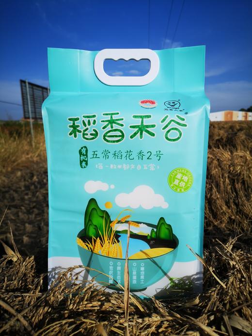 五常稻花香2号有机大米 10斤装 商品图0