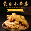 云南蒙自小黄姜|生姜味十足，肉质紧实，厨房调味好帮手 商品缩略图1