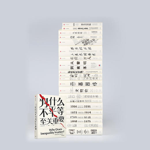 为什么不平等关重要 托马斯斯坎伦 著 社会不平等话题 哈佛哲学 揭露了贫富差距的凶手 中信出版 商品图3