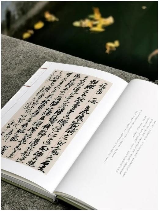 《鹤园藏札：吴昌硕、郑孝胥卷》《鹤园藏札：俞樾卷》，精装，16开，全2册 商品图1