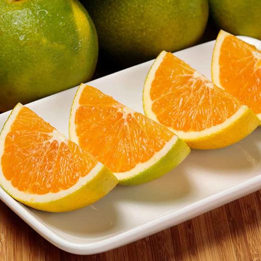 三峡 秭归脐橙九月红，新鲜脐橙现摘发货 商品图2