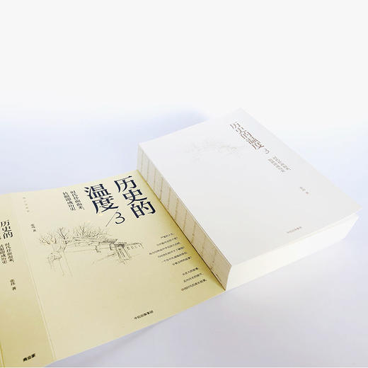 历史的温度3 张玮 著 六神磊磊、罗振宇、马勇、徐达内、严锋、张伟等力荐 历史书上的一段话、一个名字甚一张图 商品图4