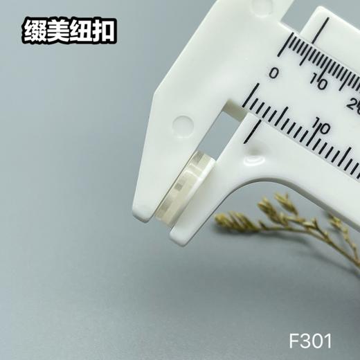 F301(整包购买) 商品图4