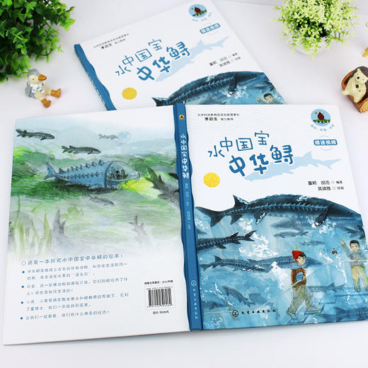 水中国宝中华鲟 商品图2