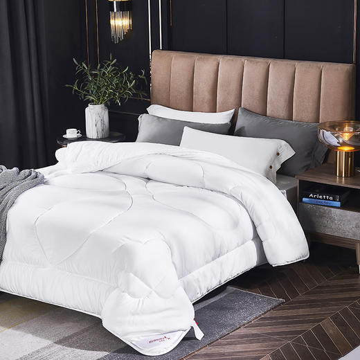 红蜻蜓时尚羽丝被（200*230cm*1） 商品图1