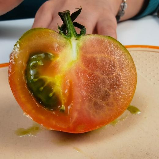 阳柿子草莓水果番茄3/4.5斤  （48-72小时发货  下雨延迟发货） 商品图5