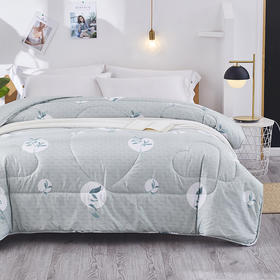 红蜻蜓草本抗菌被（200*230cm*1）