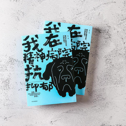 我在精神病院抗抑郁 左灯著 重度抑郁症患者的抗郁过程直播 长安十二时辰演员热依扎微博倾情 抑郁症版天才在左疯子在右 商品图3