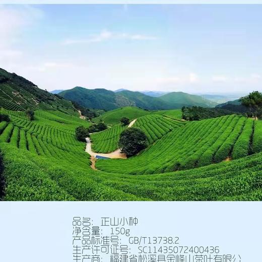 星宇茗茶 正山小种红茶150g 商品图2