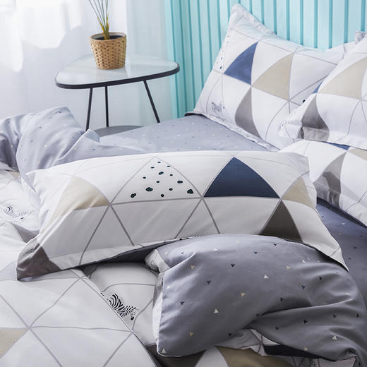 红蜻蜓生态棉四件套-斑马格 商品图2