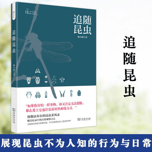追随昆虫 杨小峰 著 致敬昆虫记的观察随笔 生物世界昆虫百科科普读物社科书籍 商品图0