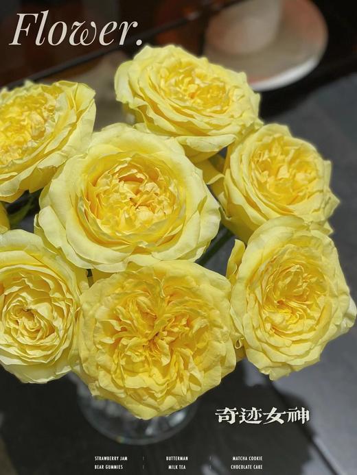 奇迹女神玫瑰【因为有你 我愿永远站在波涛之巅】简小姐精选 新品 玫瑰奇迹女神9+1枝(防花损）2件包邮 下单后5天内发货 商品图5