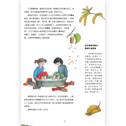 后浪正版 树的自然课 6岁以上少儿科普图画书 植物百科树木科普 浪花朵朵童书 商品图2