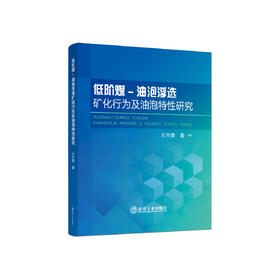 低阶煤-油泡浮选矿化行为及油泡特性研究/王市委