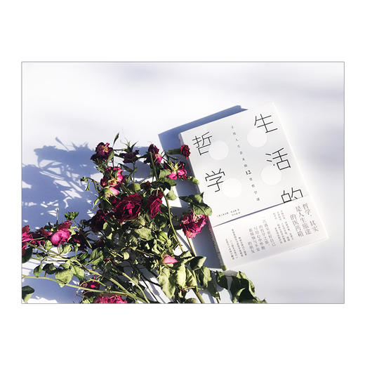 生活的哲学 朱尔斯 埃文斯 著 寻找人生意义的12堂哲学课中信出版 商品图2