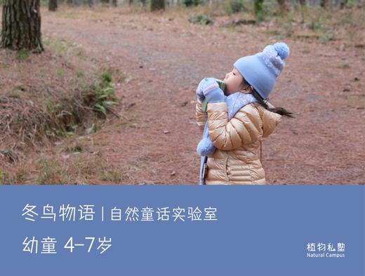 预约·冬鸟物语(4-7岁) 商品图0