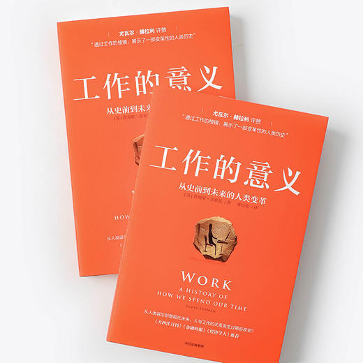 工作的意义 从史前到未来的人类变革詹姆斯苏兹曼著 人类史 工作简史 稀缺经济学 过劳 商品图2