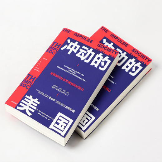 冲动的美国保罗罗伯茨著 美国问题 中美关系 美国社会 世界局势 人类心理 两党冲突 消费主义 过度消费 商品图2