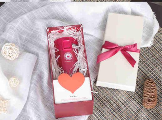 阿司倍鹭真空断热便携杯 TL290ml红 商品图3